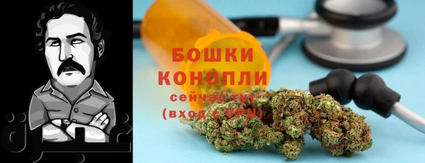 гашик Шарыпово