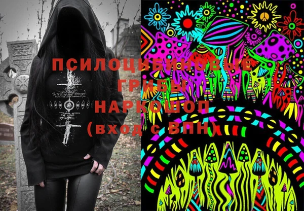 ешки Чекалин