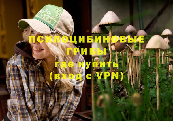 мет Солнечногорск