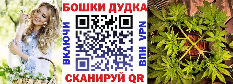 купить сайты Ессентукская Канабис семена